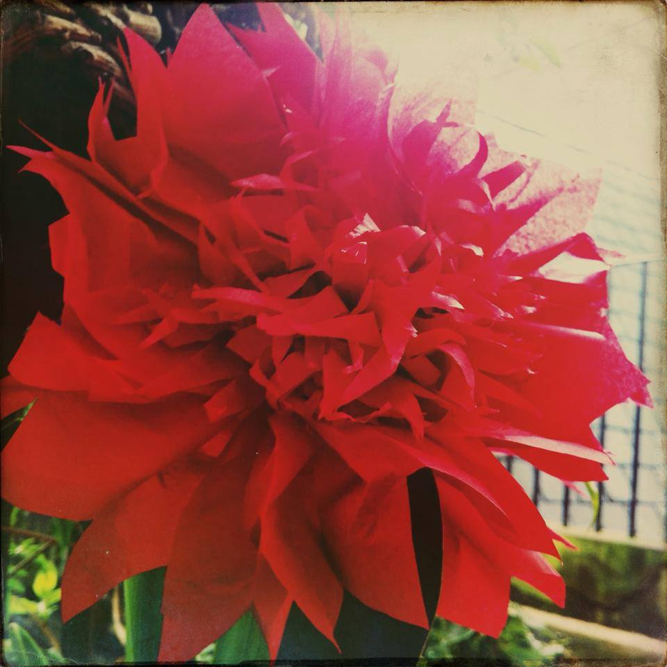 Workshop: Make your own paper flowers, origami flowers, spring cards, and more! 