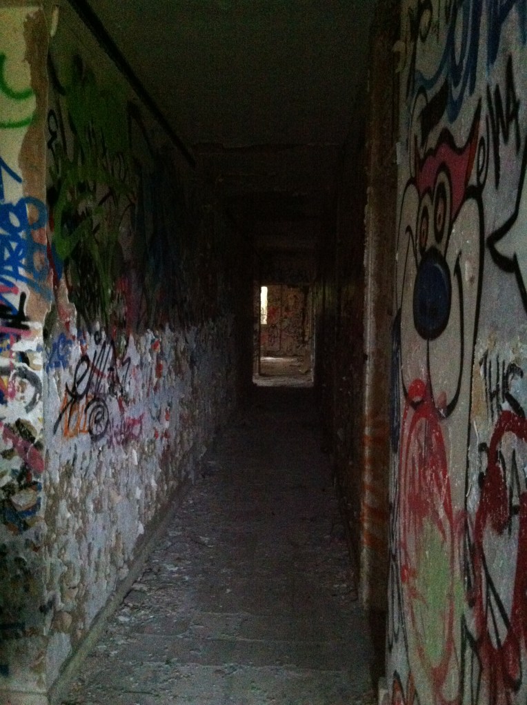 Photograph by Suzanne Scott @ WhimSicAL LusH