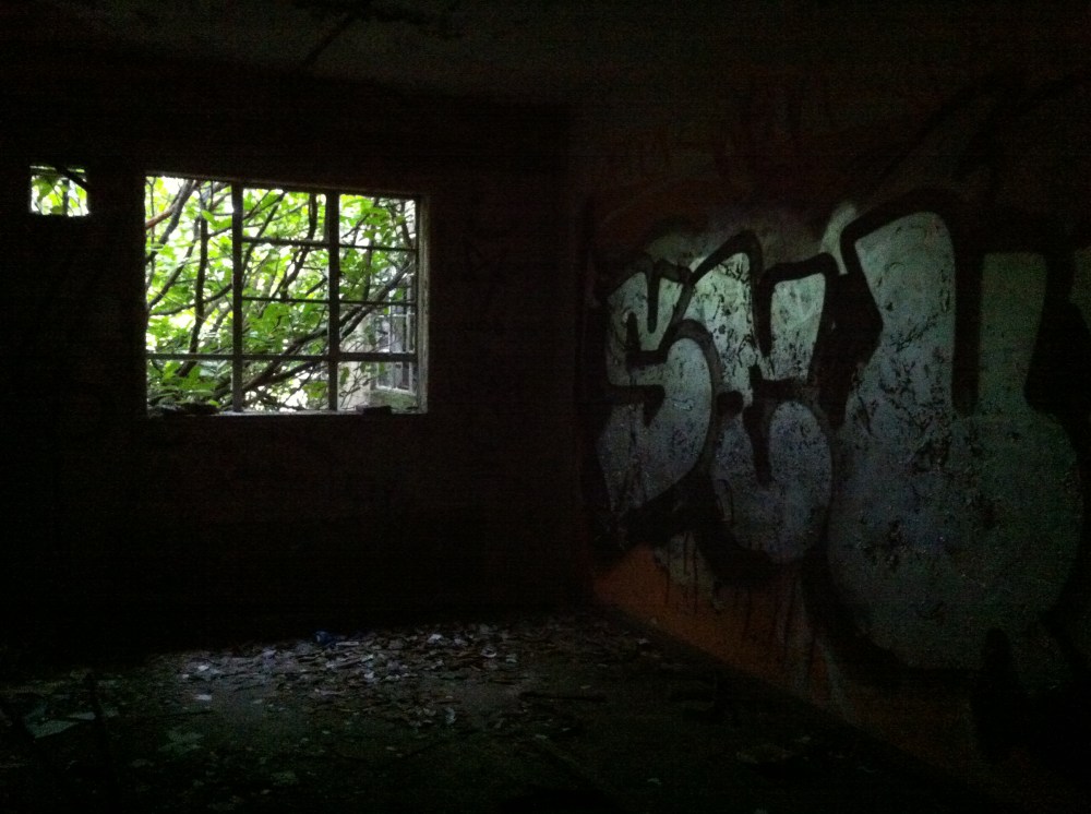 Photograph by Suzanne Scott @ WhimSicAL LusH