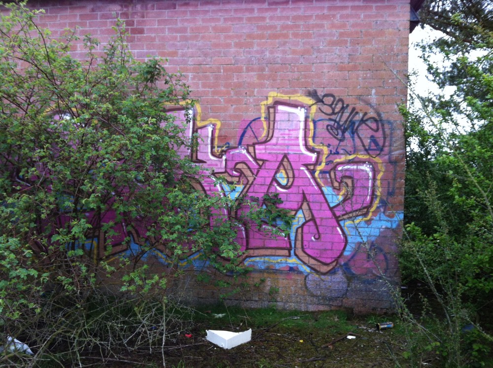 Photograph by Suzanne Scott @ WhimSicAL LusH