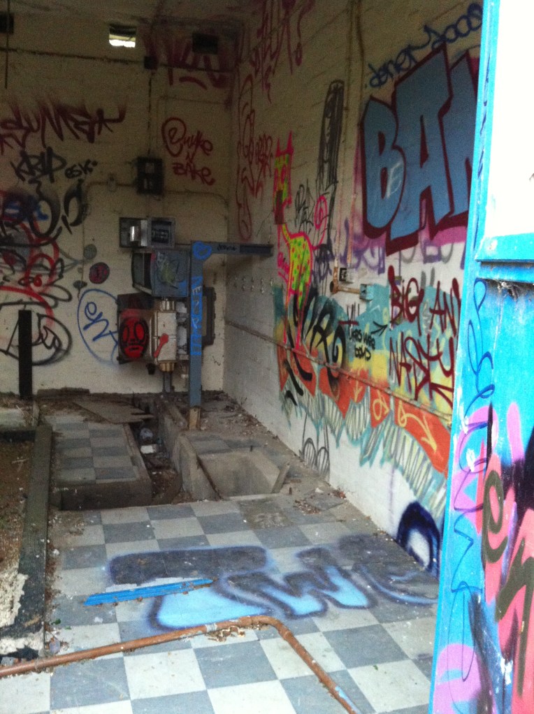 Photograph by Suzanne Scott @ WhimSicAL LusH