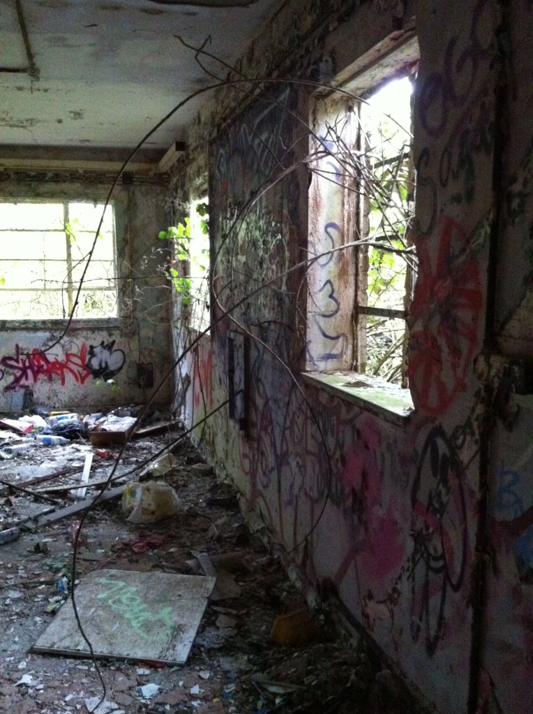 Photograph by Suzanne Scott @ WhimSicAL LusH