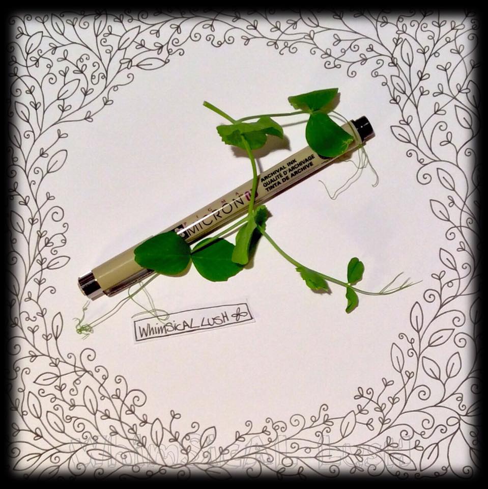 WhimSicAL LusH Title Plaque Sketch Discovery Walk